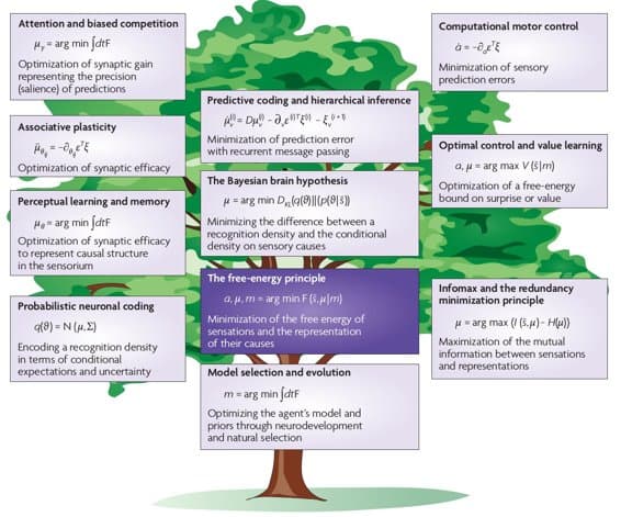 Free energy principe tree